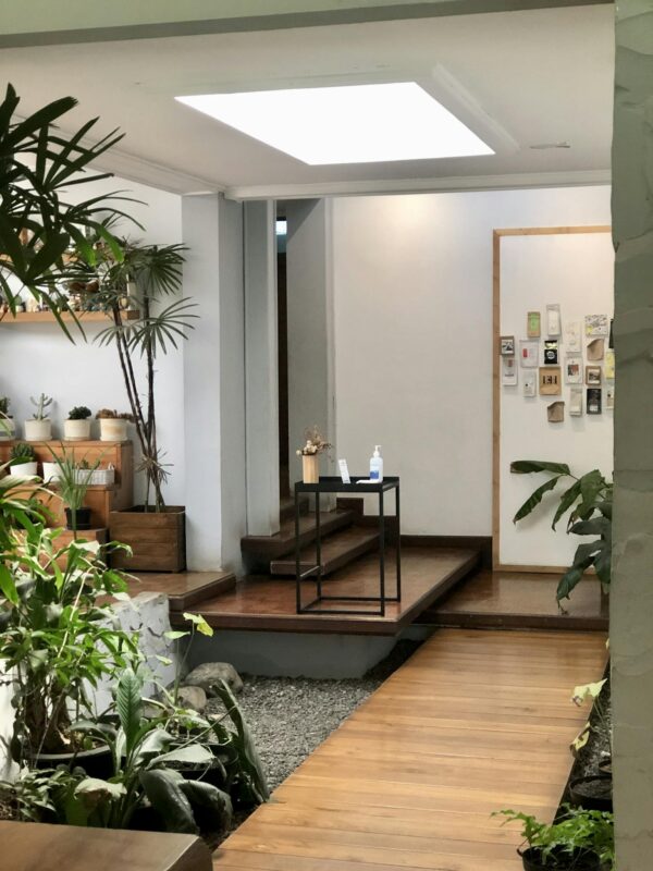 Green Potted Plant on Brown Wooden Table